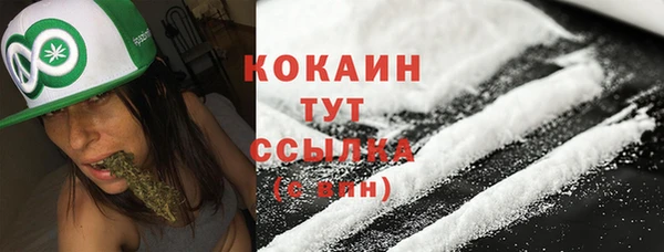ГАЛЛЮЦИНОГЕННЫЕ ГРИБЫ Бердск