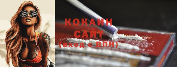 ГАЛЛЮЦИНОГЕННЫЕ ГРИБЫ Бердск