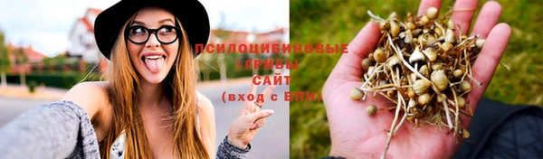 соль ск Артём