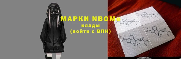 соль ск Артём
