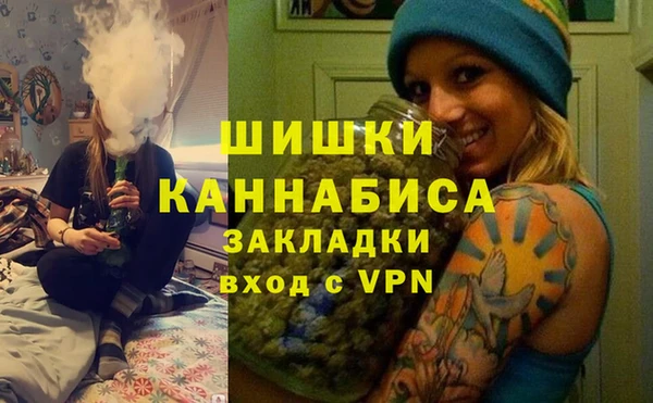 ГАЛЛЮЦИНОГЕННЫЕ ГРИБЫ Бердск