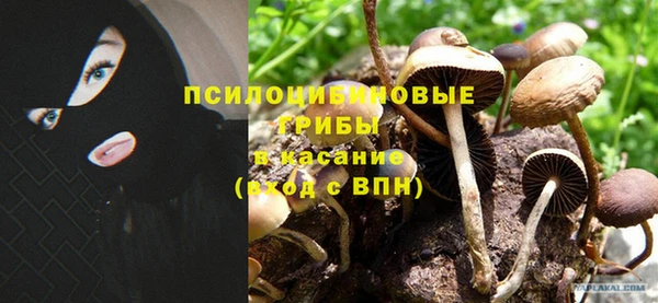 соль ск Артём